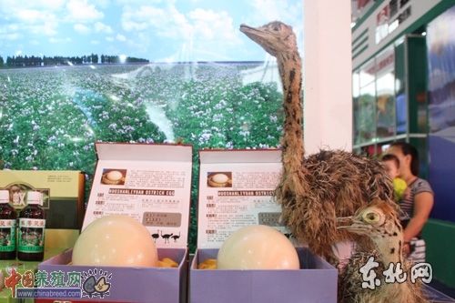 點(diǎn)擊圖片分享到上海灘微博