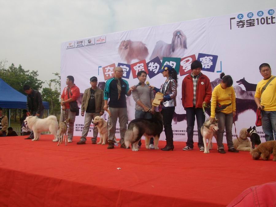 點(diǎn)擊在新窗口中查看該圖片