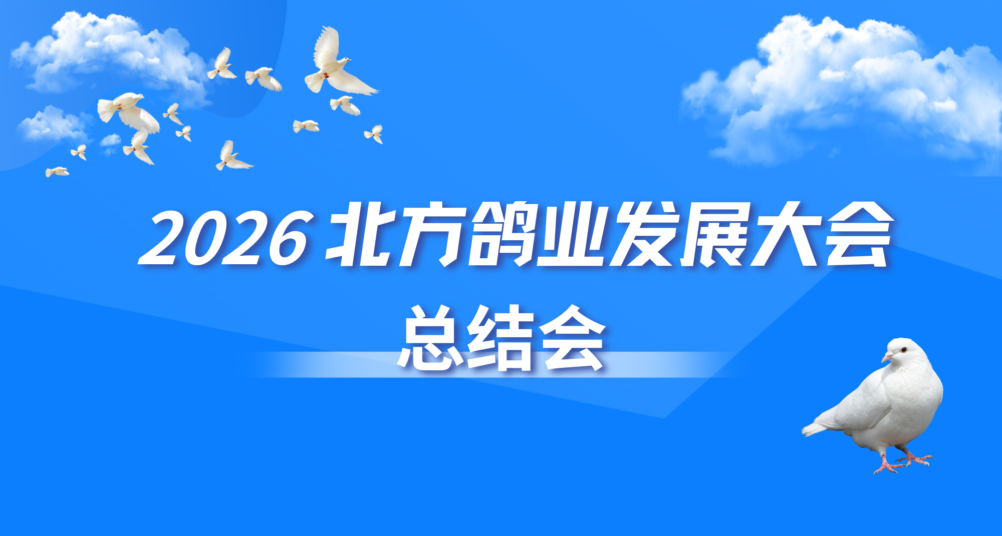 2026北方鴿業(yè)發(fā)展大會(huì)總結(jié)會(huì)召開